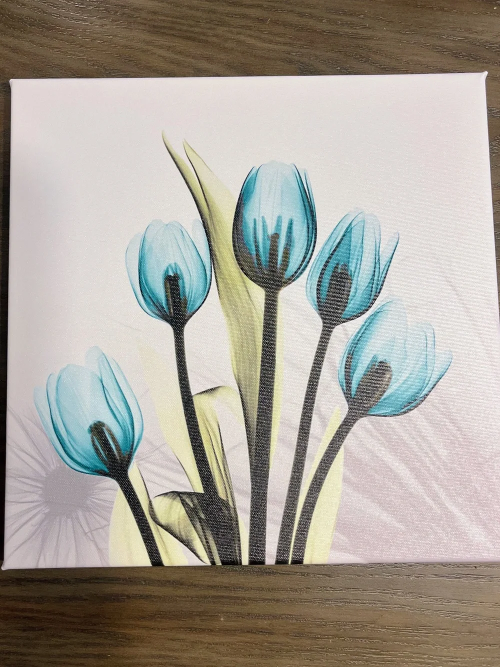 Hand-Painted Tulip Canvas Wall Art - Set of 4